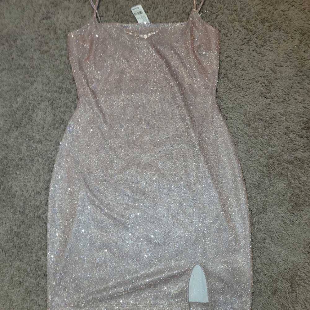 Sparkly Dress